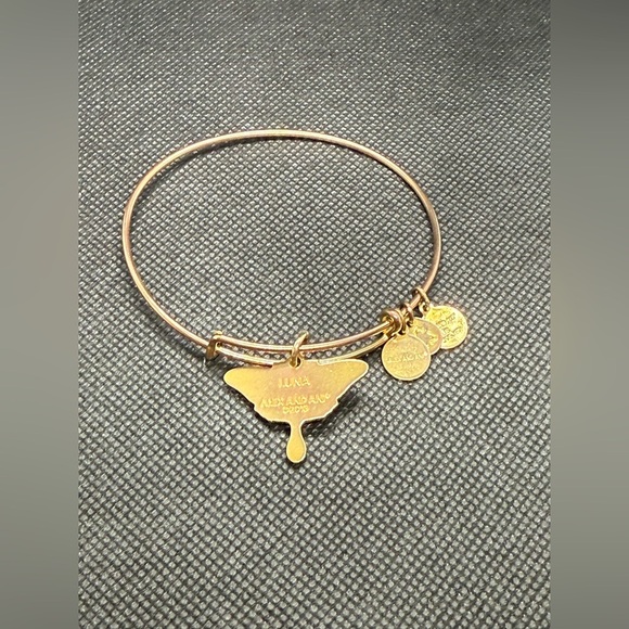 🧡ALEX AND ANI🧡Luna Moth Color Infusion Charm Bangle in Rose Gold Tone/EUC - Picture 7 of 7